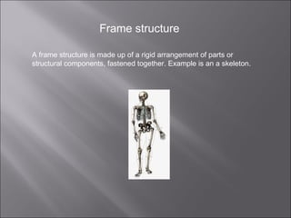 Frame structure A frame structure is made up of a rigid arrangement of parts or structural components, fastened together. Example is an a skeleton. 
