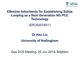 Effective Adsorbents for Establishing Solids
Looping as a Next Generation NG PCC
Technology
(EP/J020745/1)
Dr Hao Liu
University of Nottingham
Gas CCS Meeting, 25 Jun 2014, Brighton
 