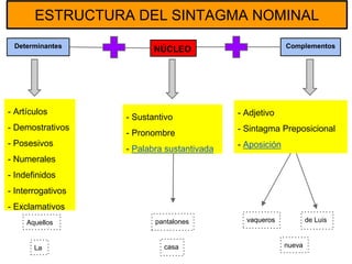 ESTRUCTURA DEL SINTAGMA NOMINAL 
Determinantes Complementos 
- Artículos 
- Demostrativos 
- Posesivos 
- Numerales 
- Indefinidos 
- Interrogativos 
- Exclamativos 
NÚCLEO 
Aquellos pantalones vaqueros 
casa nueva 
de Luis 
La 
- Adjetivo 
- Sintagma Preposicional 
- Aposición 
- Sustantivo 
- Pronombre 
- Palabra sustantivada 
 