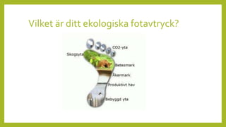 Vilket är ditt ekologiska fotavtryck?
 