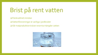 Brist på rent vatten
 Färskvattnet minskar
 Vattenföroreningar är vanliga i jordbruket
 Vår matproduktion kräver enorma mängder vatten
 