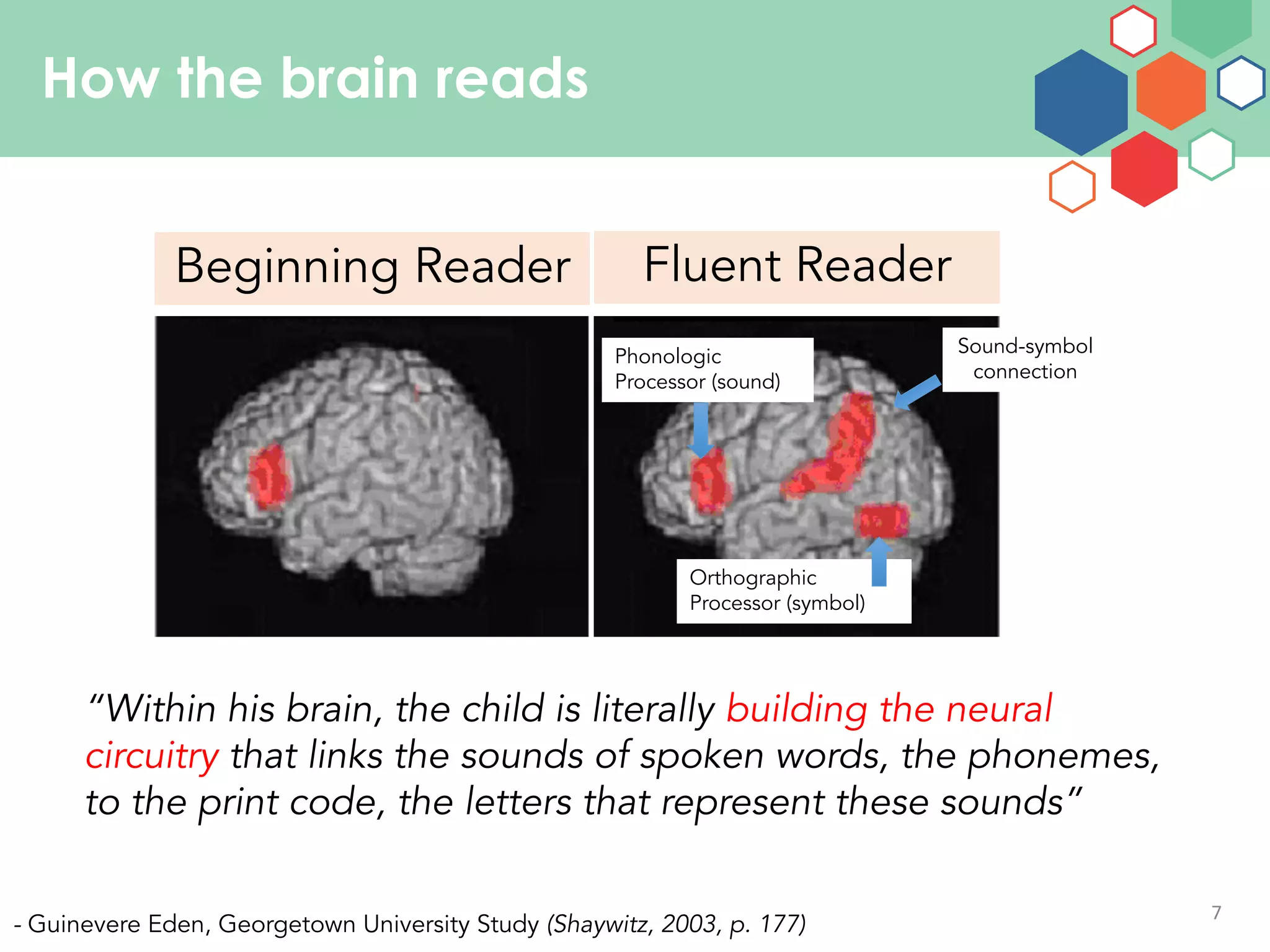 7
How the brain reads
Orthographic
Processor (symbol)
Phonologic
Processor (sound)
Fluent ReaderBeginning Reader
Sound-symbol
connection
“Within his brain, the child is literally building the neural
circuitry that links the sounds of spoken words, the phonemes,
to the print code, the letters that represent these sounds”
- Guinevere Eden, Georgetown University Study (Shaywitz, 2003, p. 177)
 