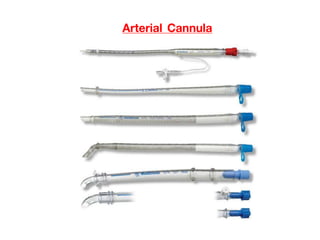 Arterial Cannula
 