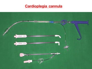 Cardioplegia cannula
 
