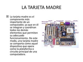 LA TARJETA MADRE La tarjeta madre es el componente más importante de un computador, ya que en él se integran y coordinan todos los demás elementos que permiten su adecuado funcionamiento. De este modo, una tarjeta madre se comporta como aquel dispositivo que opera como la plataforma o circuito principal de una computadora. 