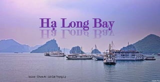 Hạ Long Bay

Sound: Chưa Ai - Lê Cát Trọng Lý

 