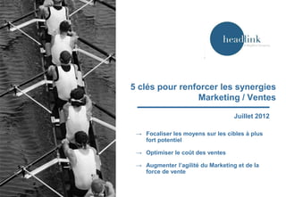 5 clés pour renforcer les synergies
Marketing / Ventes
Juillet 2012
→ Focaliser les moyens sur les cibles à plus
fort potentiel
→ Optimiser le coût des ventes
→ Augmenter l’agilité du Marketing et de la
force de vente

Sylvain Deniau

 