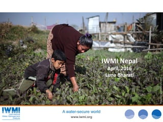 Photo:TomvanCakenberghe/IWMI
www.iwmi.org
A water-secure world
IWMI Nepal
April, 2016
Luna Bharati
 