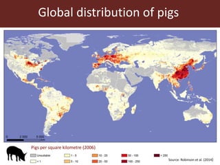Livestock and food security: An ILRI perspective
