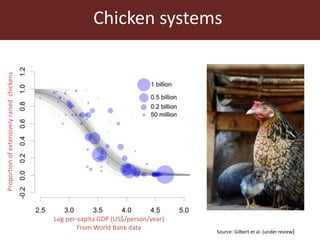 Livestock and food security: An ILRI perspective