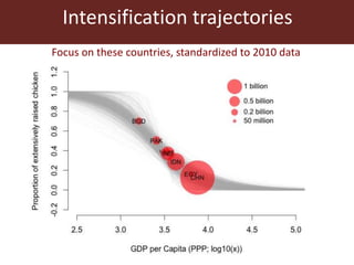 Livestock and food security: An ILRI perspective