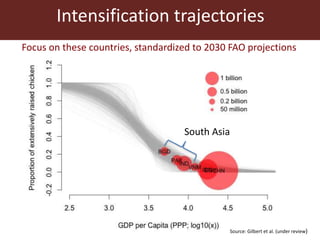 Livestock and food security: An ILRI perspective