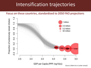 Livestock and food security: An ILRI perspective