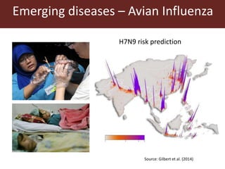Livestock and food security: An ILRI perspective