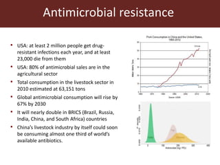 Livestock and food security: An ILRI perspective