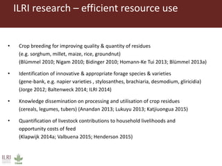 Livestock and food security: An ILRI perspective