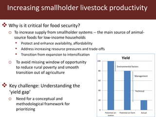 Livestock and food security: An ILRI perspective