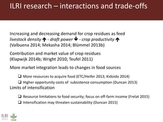 Livestock and food security: An ILRI perspective