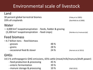 Livestock and food security: An ILRI perspective