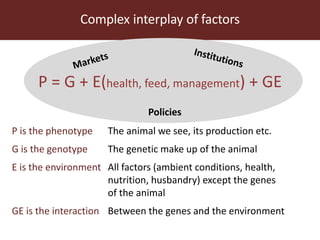 Livestock and food security: An ILRI perspective