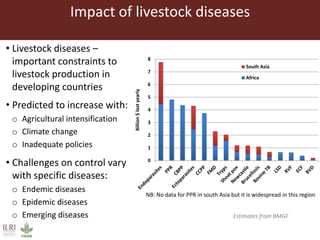 Livestock and food security: An ILRI perspective