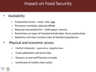 Livestock and food security: An ILRI perspective