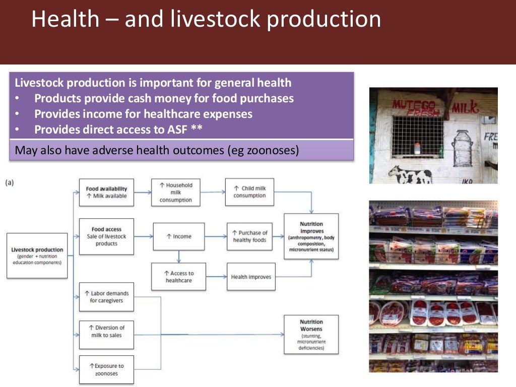 Livestock and food security An ILRI perspective