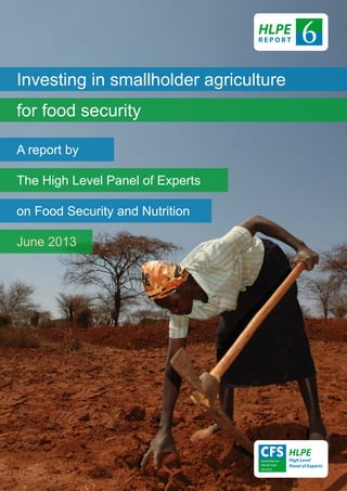 Investing in smallholder agriculture
for food security
A report by
The High Level Panel of Experts
on Food Security and Nutrition
June 2013
6HLPE
R E P O R T
 