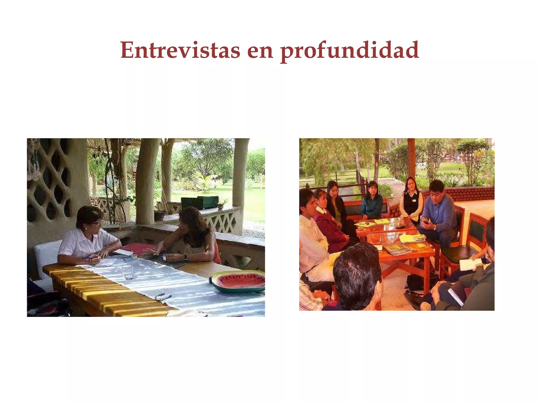 Entrevistas en profundidad 