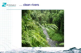 …  clean rivers Page  