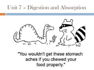 Unit 7 – Digestion and Absorption
1

 