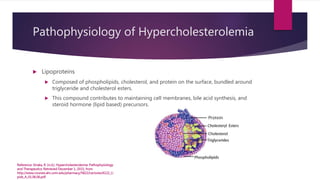 Pathophysiology of Hypercholesterolemia
 Lipoproteins
 Composed of phospholipids, cholesterol, and protein on the surface, bundled around
triglyceride and cholesterol esters.
 This compound contributes to maintaining cell membranes, bile acid synthesis, and
steroid hormone (lipid based) precursors.
Reference: Straka, R. (n.d.). Hypercholesterolemia: Pathophysiology
and Therapeutics. Retrieved December 1, 2015, from
http://www.courses.ahc.umn.edu/pharmacy/5822/Lectures/6122_Li
pids_A_01.06.06.pdf
 