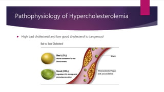 Pathophysiology of Hypercholesterolemia
 High bad cholesterol and low good cholesterol is dangerous!
 