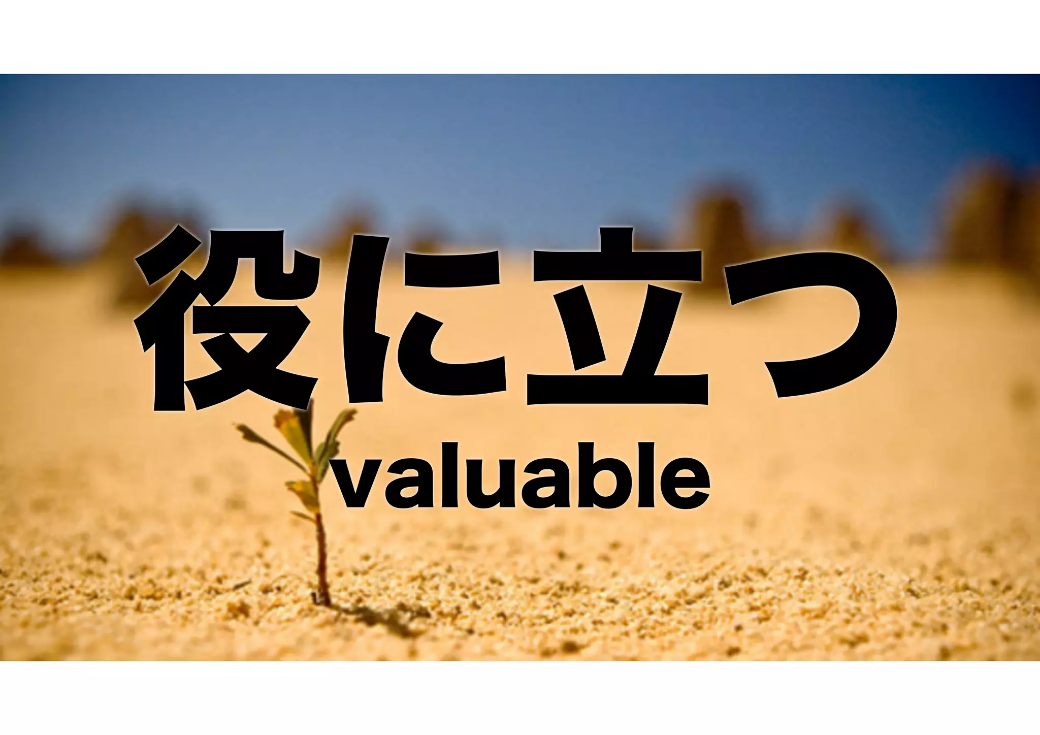 役に立つ
valuable
 