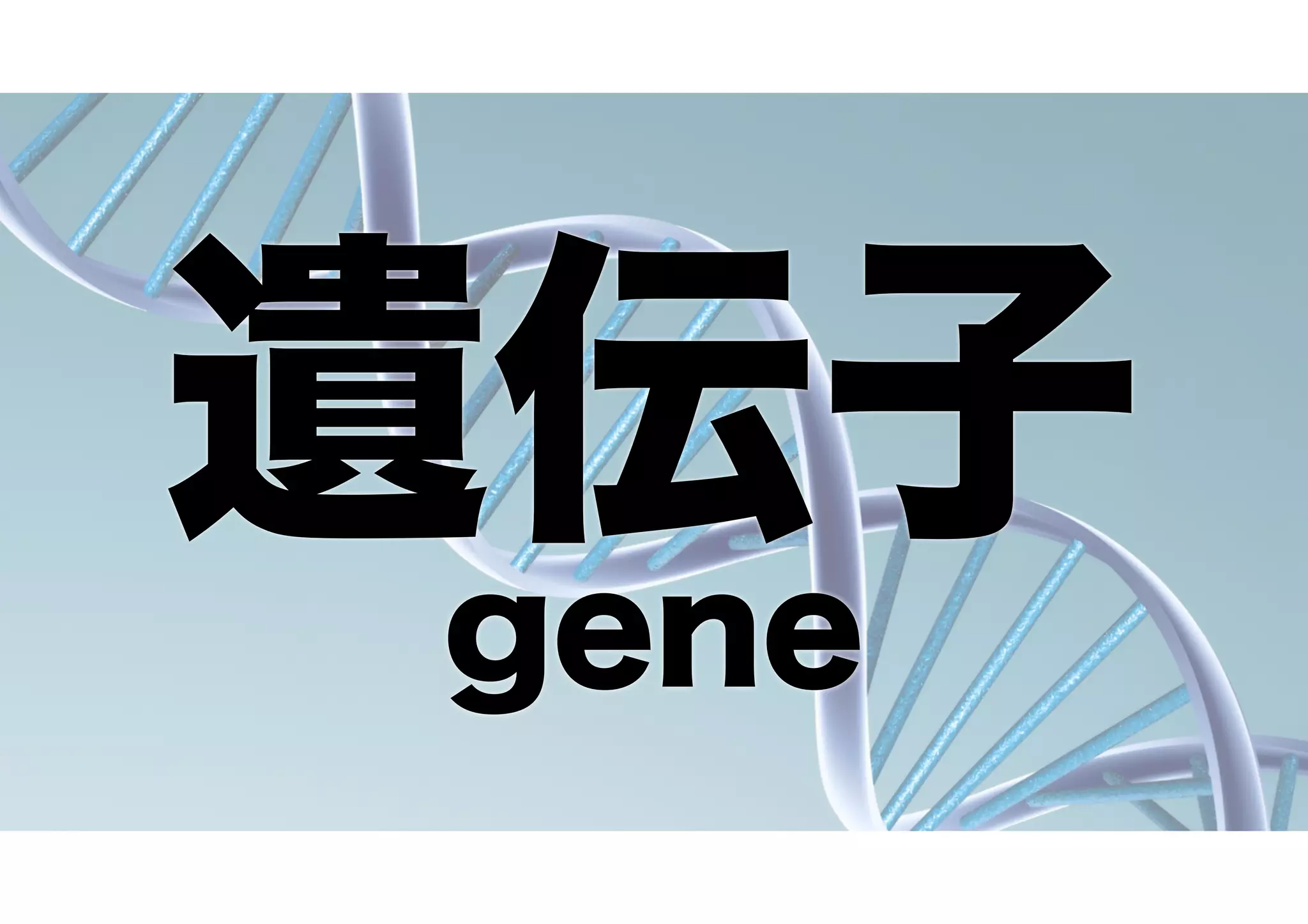 遺伝子
gene
 