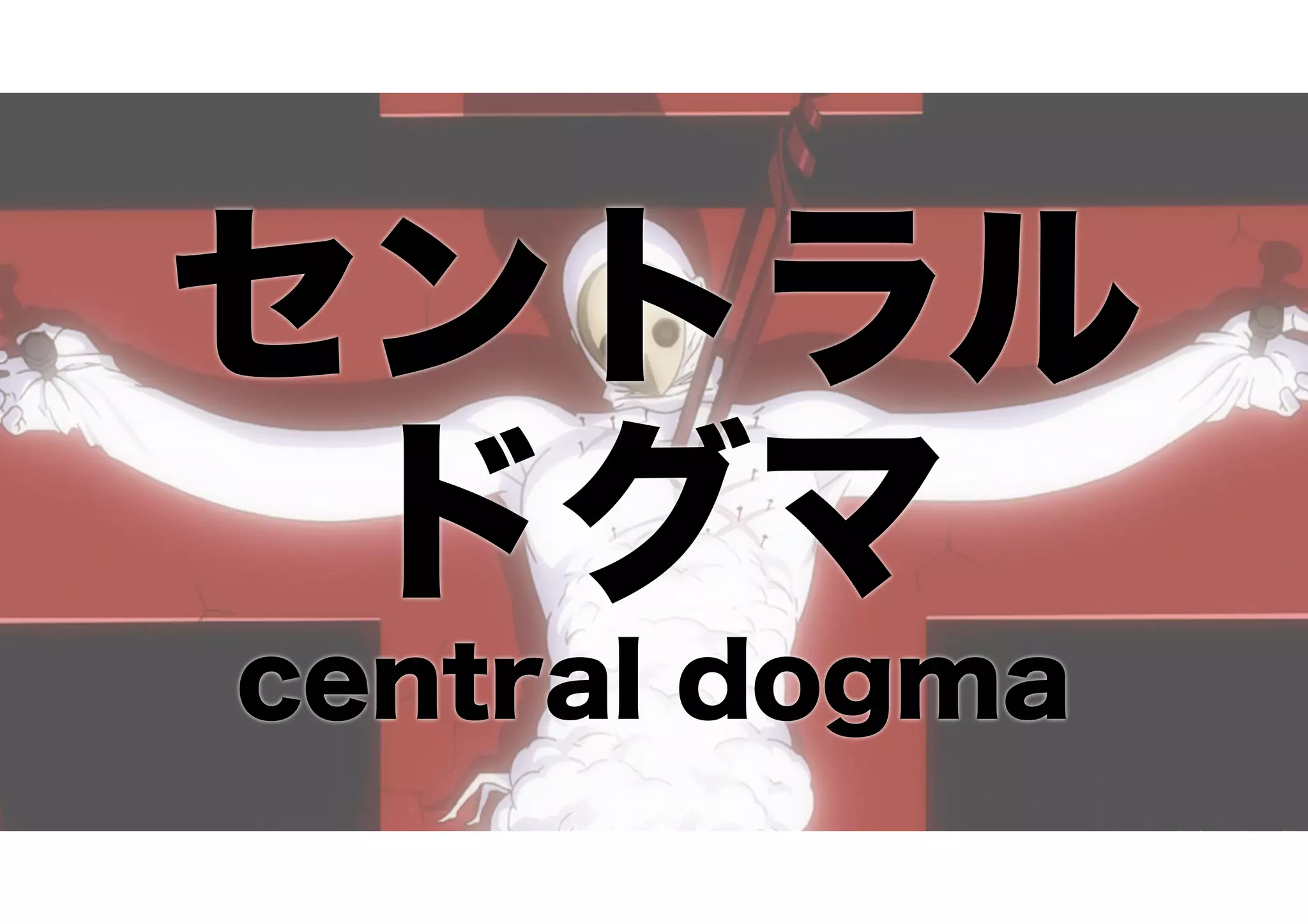 セントラル
ドグマ
central dogma
 
