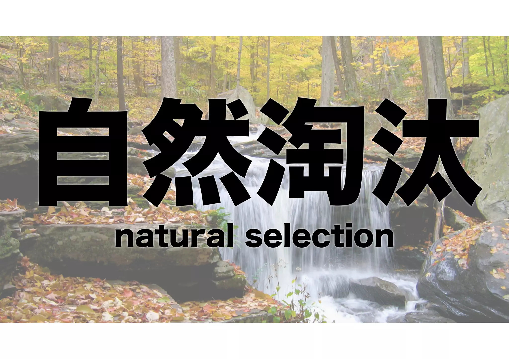 自然淘汰natural selection
 