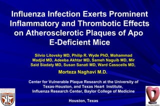 Influenza Infection Exerts Prominent
Inflammatory and Thrombotic Effects
on Atherosclerotic Plaques of Apo
E-Deficient Mice
Silvio Litovsky MD, Philip R. Wyde PhD, Mohammad
Madjid MD, Adeeba Akhtar MD, Sameh Naguib MD, Mir
Said Siadaty MD, Susan Sanati MD, Ward Casscells MD,
Morteza Naghavi M.D.
Center for Vulnerable Plaque Research at the University of
Texas-Houston, and Texas Heart Institute,
Influenza Research Center, Baylor College of Medicine
Houston, Texas
 