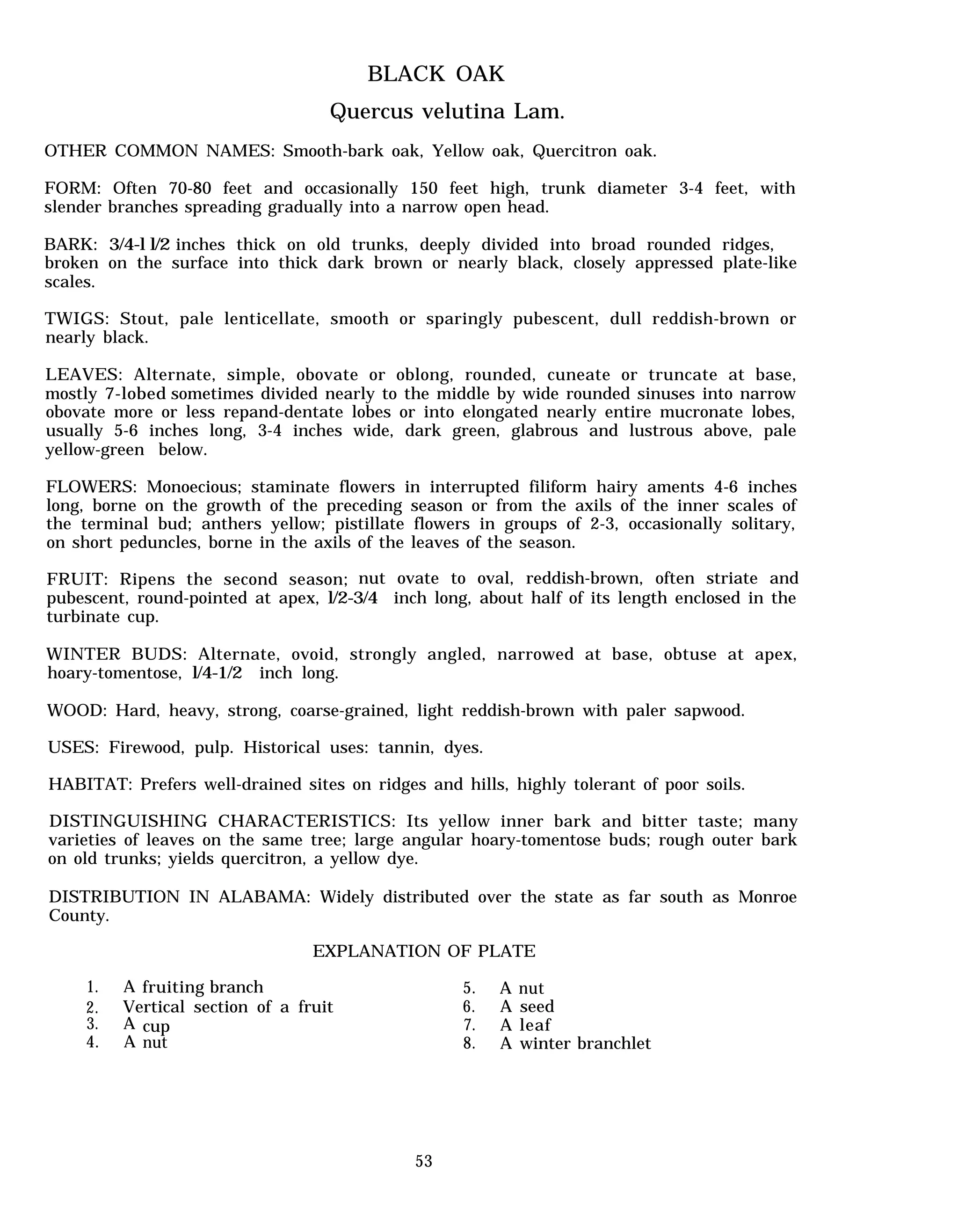 black-oak-pdf