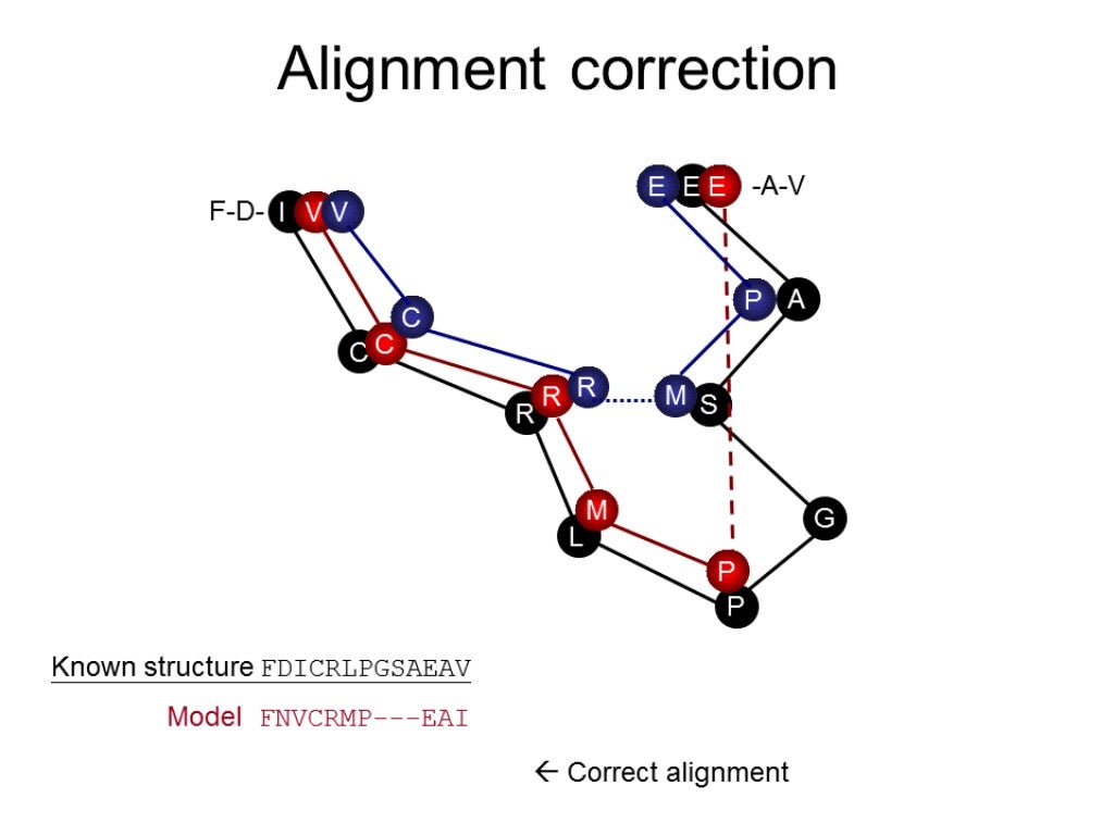 download free homologous structures