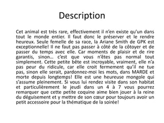 Description 	Cet animal est très rare, effectivement il n’en existe qu’un dans tout le monde entier. Il faut donc le préserver et le rendre heureux. Seule femelle de sa race, la Ariane Smith de GPK est exceptionnelle! Il ne faut pas passer à côté de la côtoyer et de passer du temps avec elle. Car moments de plaisir et de rire garantis, sinon… c’est que vous n’êtes pas normal tout simplement. Cette petite bête est incroyable, vraiment, elle n’a pas peur du ridicule, car elle croit fermement qu’il ne tue pas, sinon elle serait, pardonnez-moi les mots, dans MARDE et morte depuis longtemps! Elle est une heureuse mongole qui s’assume pleinement. Si vous lui rendez visite dans son habitat et particulièrement le jeudi dans un 4 à 7 vous pourrez remarquer que cette petite coquine aime bien jouer à la reine du déguisement et y mettre de son cœur pour toujours avoir un petit accessoire pour la thématique de la soirée! 