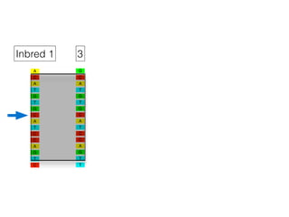 A
C
T
G
T
G
A
C
T
C
C
A
T
C
G
A
A
C
T
G
T
G
A
C
T
C
C
A
T
G
T
G
Inbred 1 3
 