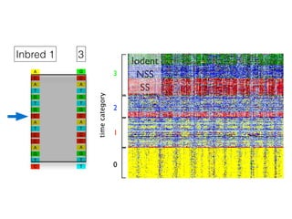 A
C
T
G
T
G
A
C
T
C
C
A
T
C
G
A
A
C
T
G
T
G
A
C
T
C
C
A
T
G
T
G
Inbred 1 3
3
2
1
0
timecategory
SS
NSS
Iodent
 