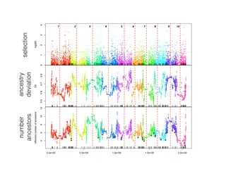 !
selection
ancestry
deviation
number
ancestors
 
