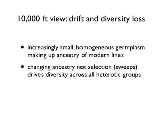 10,000 ft view: drift and diversity loss
• increasingly small, homogeneous germplasm
making up ancestry of modern lines
• changing ancestry not selection (sweeps)
drives diversity across all heterotic groups
 