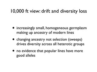 10,000 ft view: drift and diversity loss
• increasingly small, homogeneous germplasm
making up ancestry of modern lines
• changing ancestry not selection (sweeps)
drives diversity across all heterotic groups
• no evidence that popular lines have more
good alleles
 