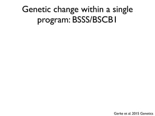 Genetic change within a single
program: BSSS/BSCB1
Gerke et al. 2015 Genetics
 