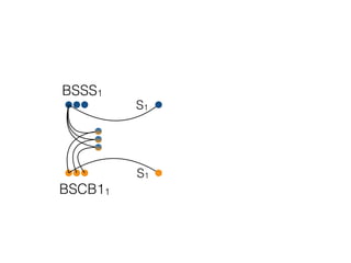 BSSS1
BSCB11
S1
S1
 