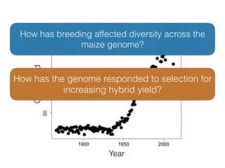 GrainYield
Year
How has breeding affected diversity across the
maize genome?
How has the genome responded to selection for
increasing hybrid yield?
 