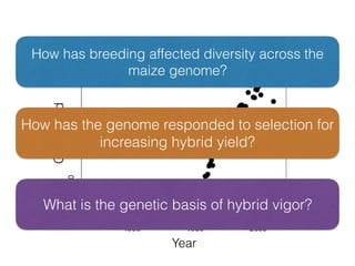 GrainYield
Year
How has breeding affected diversity across the
maize genome?
How has the genome responded to selection for
increasing hybrid yield?
What is the genetic basis of hybrid vigor?
 